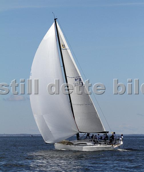 ORCi2 228.jpg